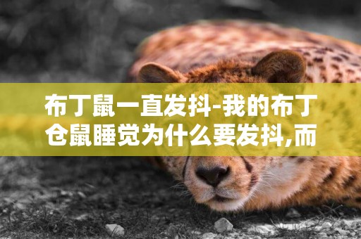 布丁鼠一直發抖-我的布丁倉鼠睡覺為什么要發抖,而且縮成一團，應該不冷吧，是什么原因啊，