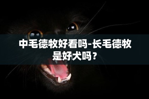 中毛德牧好看嗎-長毛德牧是好犬嗎？