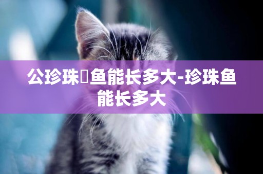公珍珠魟魚能長多大-珍珠魚能長多大