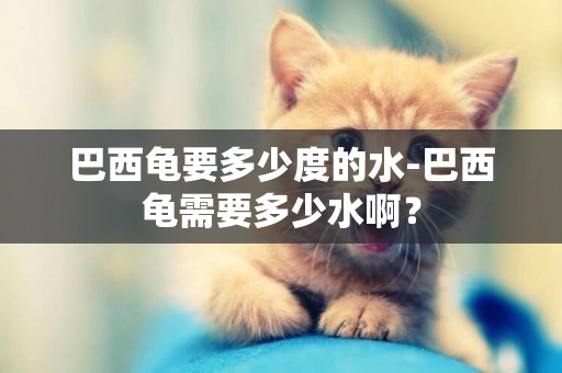 巴西龜要多少度的水-巴西龜需要多少水啊？