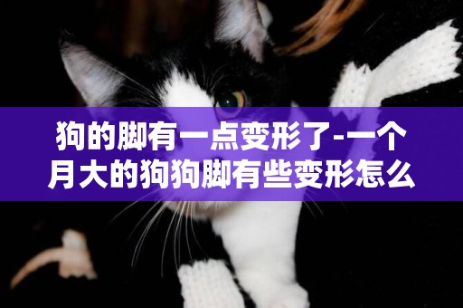 狗的腳有一點變形了-一個月大的狗狗腳有些變形怎么辦