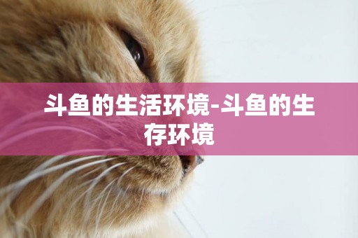 斗魚的生活環境-斗魚的生存環境