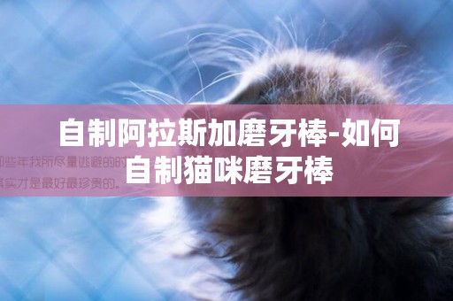 自制阿拉斯加磨牙棒-如何自制貓咪磨牙棒