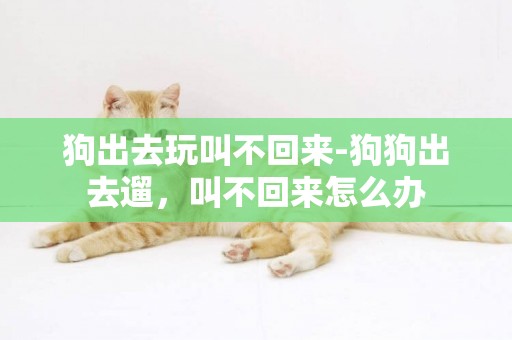 狗出去玩叫不回來-狗狗出去遛，叫不回來怎么辦