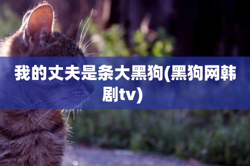 我的丈夫是條大黑狗(黑狗網韓劇tv) 