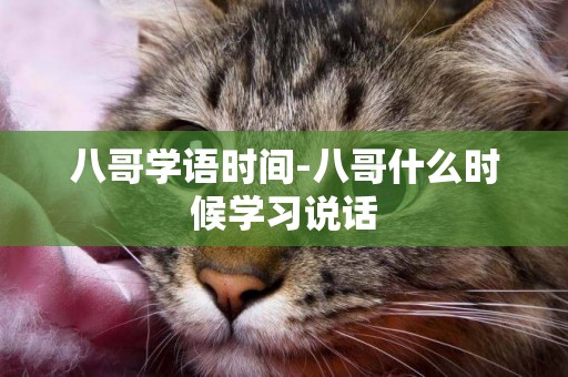 八哥學語時間-八哥什么時候學習說話