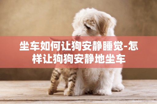 坐車如何讓狗安靜睡覺-怎樣讓狗狗安靜地坐車