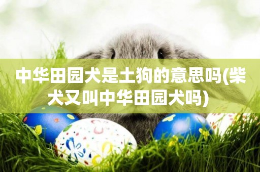 中華田園犬是土狗的意思嗎(柴犬又叫中華田園犬嗎) 