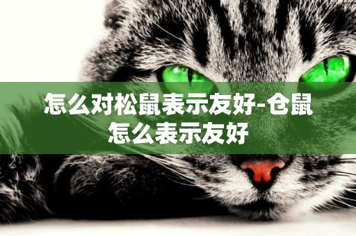 怎么對松鼠表示友好-倉鼠怎么表示友好