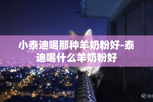小泰迪喝那種羊奶粉好-泰迪喝什么羊奶粉好