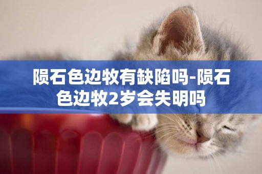 隕石色邊牧有缺陷嗎-隕石色邊牧2歲會失明嗎