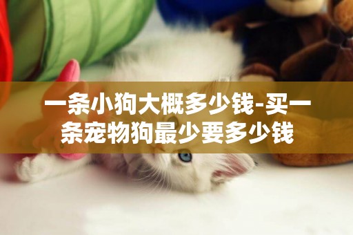 一條小狗大概多少錢-買一條寵物狗最少要多少錢