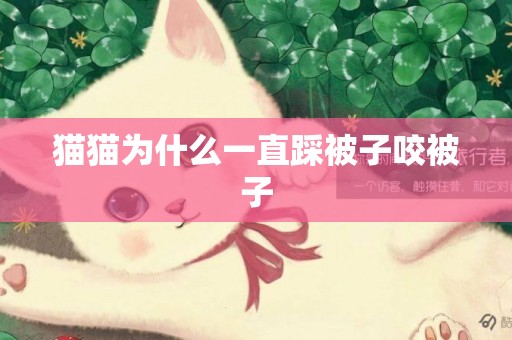 貓貓為什么一直踩被子咬被子