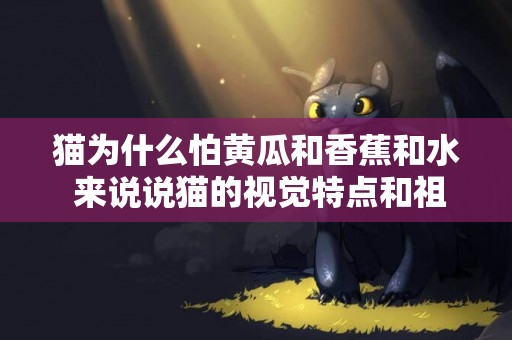 貓為什么怕黃瓜和香蕉和水 來說說貓的視覺特點和祖先