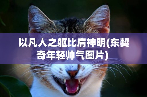 以凡人之軀比肩神明(東契奇年輕帥氣圖片) 