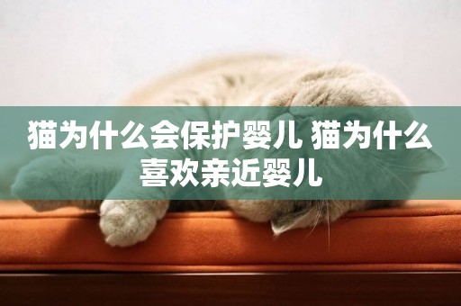 貓為什么會保護嬰兒 貓為什么喜歡親近嬰兒