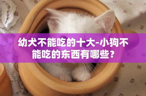 幼犬不能吃的十大-小狗不能吃的東西有哪些？