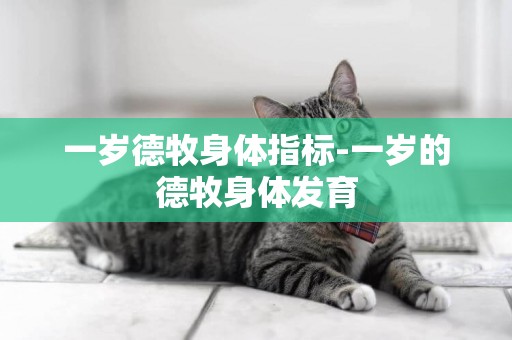 一歲德牧身體指標-一歲的德牧身體發育