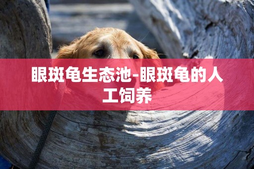 眼斑龜生態池-眼斑龜的人工飼養