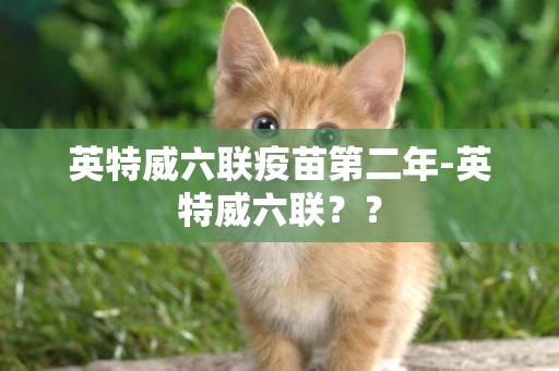 英特威六聯疫苗第二年-英特威六聯？？