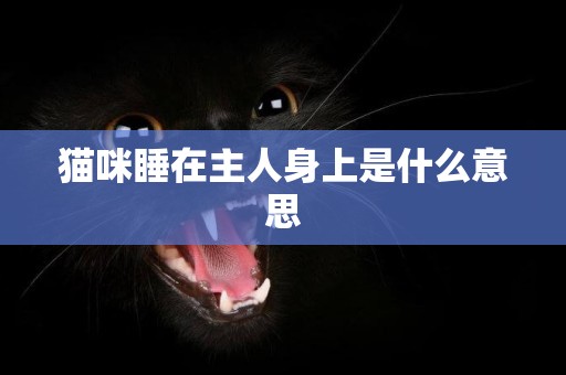 貓咪睡在主人身上是什么意思