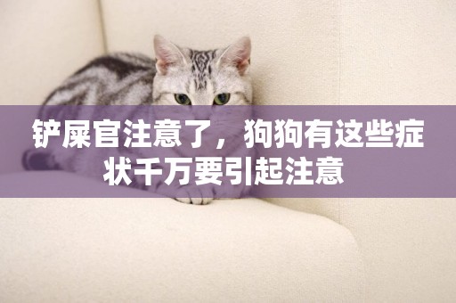 鏟屎官注意了，狗狗有這些癥狀千萬要引起注意 