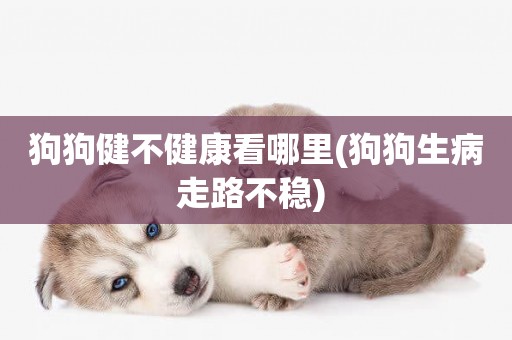 狗狗健不健康看哪里(狗狗生病走路不穩) 