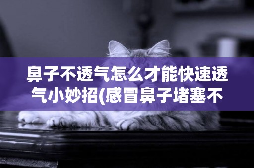 鼻子不透氣怎么才能快速透氣小妙招(感冒鼻子堵塞不通氣怎么辦小妙招) 