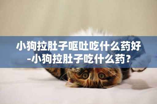 小狗拉肚子嘔吐吃什么藥好-小狗拉肚子吃什么藥？