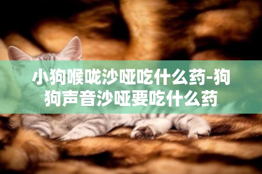 小狗喉嚨沙啞吃什么藥-狗狗聲音沙啞要吃什么藥