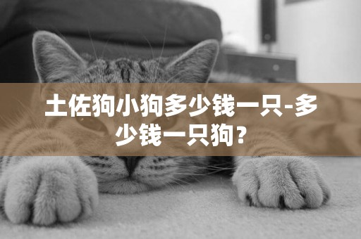 土佐狗小狗多少錢一只-多少錢一只狗？