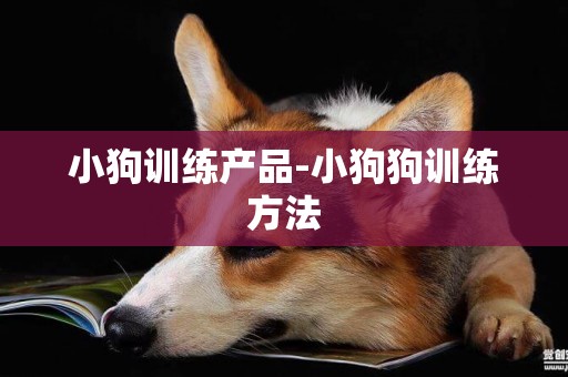 小狗訓練產品-小狗狗訓練方法