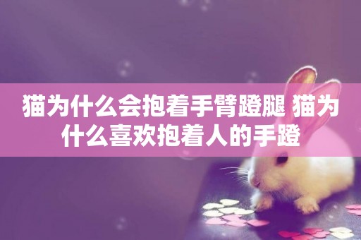 貓為什么會抱著手臂蹬腿 貓為什么喜歡抱著人的手蹬