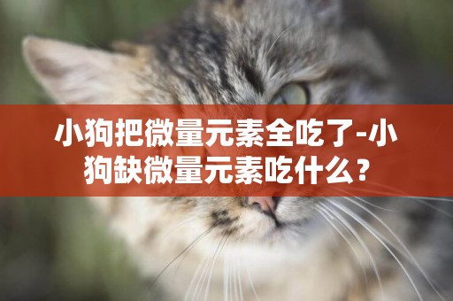 小狗把微量元素全吃了-小狗缺微量元素吃什么？
