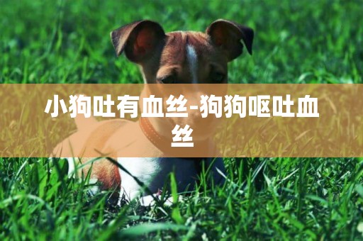 小狗吐有血絲-狗狗嘔吐血絲