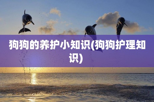 狗狗的養護小知識(狗狗護理知識) 