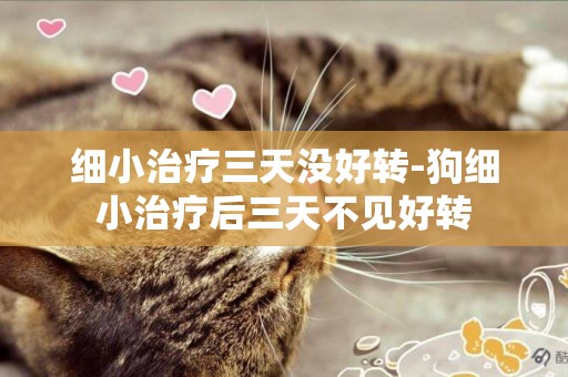 細小治療三天沒好轉-狗細小治療后三天不見好轉