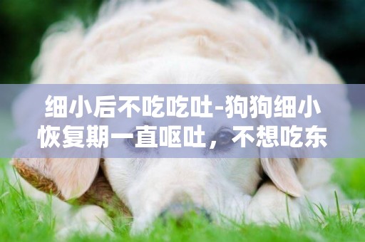 細小后不吃吃吐-狗狗細小恢復期一直嘔吐，不想吃東西，怎么辦