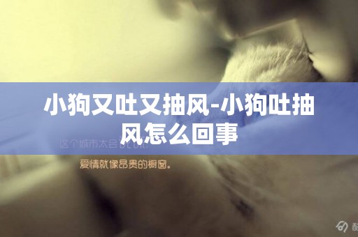 小狗又吐又抽風-小狗吐抽風怎么回事