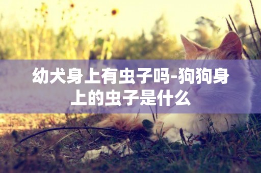 幼犬身上有蟲子嗎-狗狗身上的蟲子是什么
