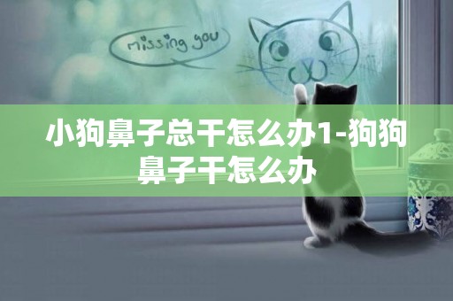 小狗鼻子總干怎么辦1-狗狗鼻子干怎么辦