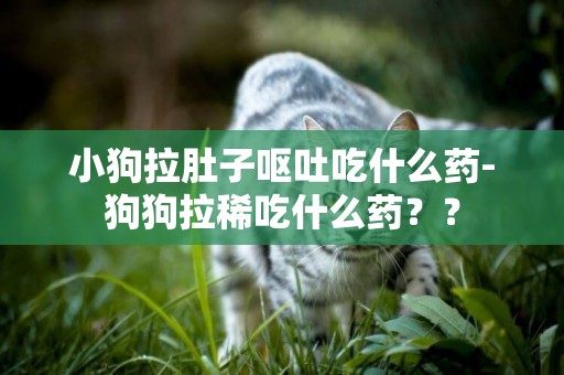 小狗拉肚子嘔吐吃什么藥-狗狗拉稀吃什么藥？？