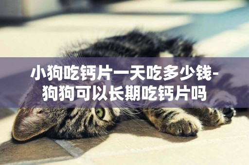 小狗吃鈣片一天吃多少錢-狗狗可以長期吃鈣片嗎