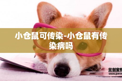 小倉鼠可傳染-小倉鼠有傳染病嗎