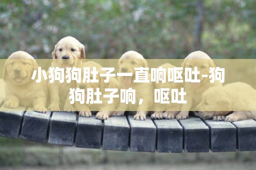 小狗狗肚子一直響嘔吐-狗狗肚子響，嘔吐