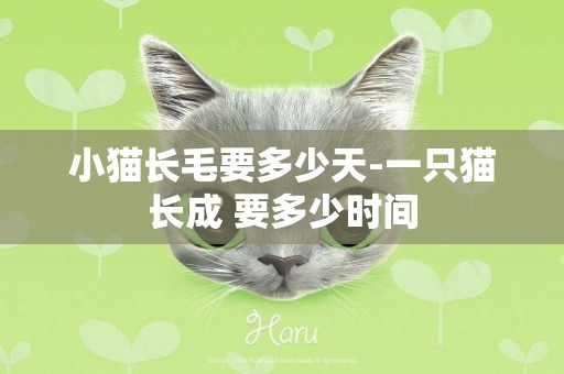 小貓長毛要多少天-一只貓長成 要多少時間