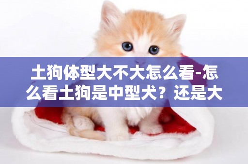 土狗體型大不大怎么看-怎么看土狗是中型犬？還是大型犬？