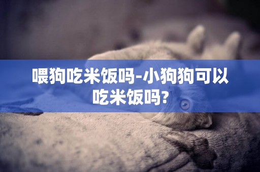喂狗吃米飯嗎-小狗狗可以吃米飯嗎?
