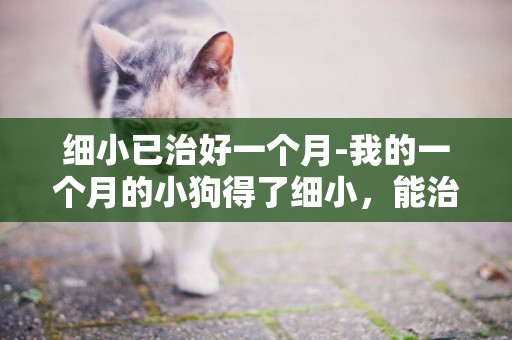 細小已治好一個月-我的一個月的小狗得了細小，能治好嗎