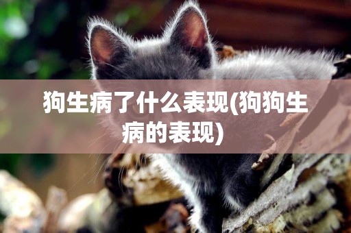 狗生病了什么表現(狗狗生病的表現) 